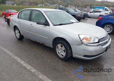 2005 Chevrolet Malibu Ls z USA, uszkodzony, nr VIN 1G1ZT54895F217751